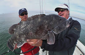 George Poveromo's World of Saltwater Fishing, Season 5: The Cult Fish