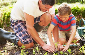 The Great Ideas of Philosophy, 2nd Edition: Can Virtue Be Taught?