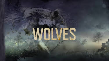 2:00 AM: Lawless Island | Nat Geo Wild | 12/22 2025