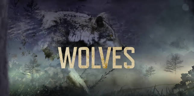 10:00 PM: Lawless Island | Nat Geo Wild | 11/24 2025