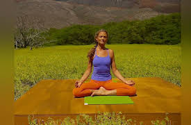 Gaiam: Rodney Yee A.M./P.M. Yoga for Beginners Season 1: P.M. Meditation