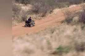 Into the Pride: Season 1: A Tale of Two Alphas