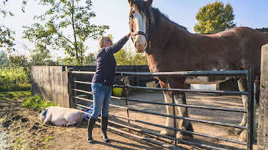 10:00 AM: The Yorkshire Vet (S10 E13) (S10) | 5 Select | 2/18 2026