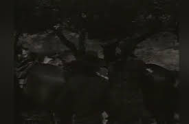 Range Rider: Outlaw Territory