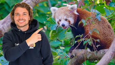 10:00 AM: One Zoo Three (S4) | CBBC | 6/29 2026