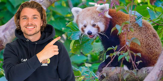 10:10 AM: One Zoo Three (S4) | CBBC | 11/4 2025