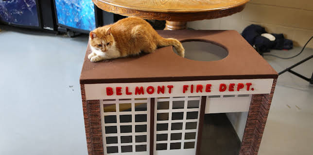 16:00: My Cat From Hell (S8 E10) (S8) | Animal Planet | 11/30 2025