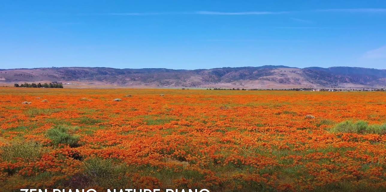 Zen Piano: Nature Piano (2023)