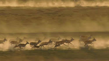 4:55 PM: Planet Earth (S1 E7) (S1) | Yesterday | 12/25 2025