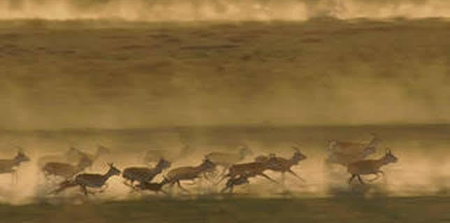 3:00 PM: Planet Earth (S1 E7) (S1) | Yesterday | 11/16 2025