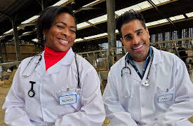 Celebrity Escape to the Country S1: Dr Ranj