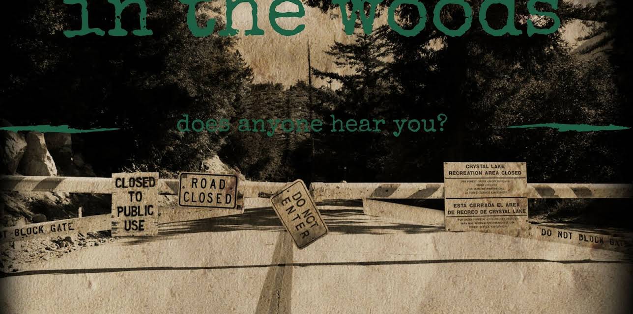 In The Woods (2010)