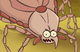 I'm a Creepy Crawly: Tick