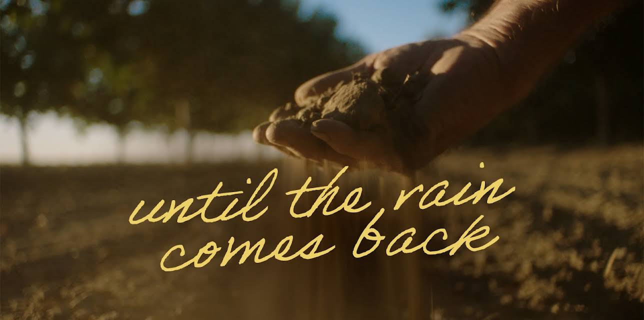 Until the Rain Comes Back (2024)