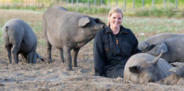20:15: Landfrauenküche - Kulinarische Schätze | BR Fernsehen | 3/23 2026