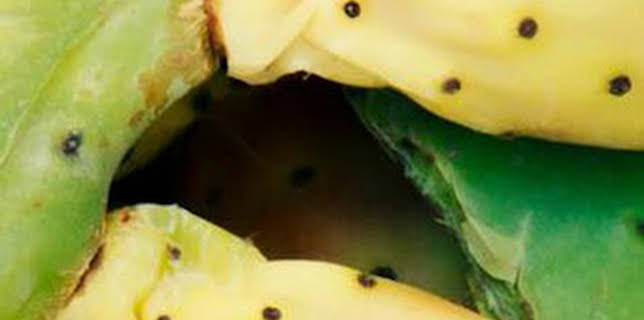 14:40: Así se hace: Fijaciones aeroespaciales | Discovery | 3/3 2026