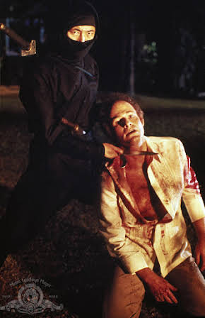 Sho Kosugi as 