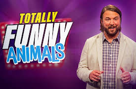 Totally Funny Animals: Top 10 Reasons Dogs Shouldn't Be Babysitters