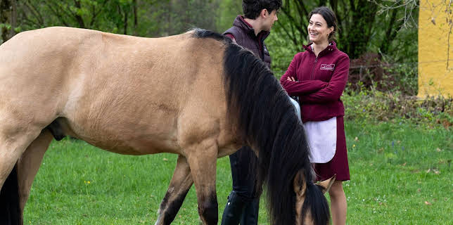 10:40: Sturm der Liebe | SWR Fernsehen RP | 12/10 2025