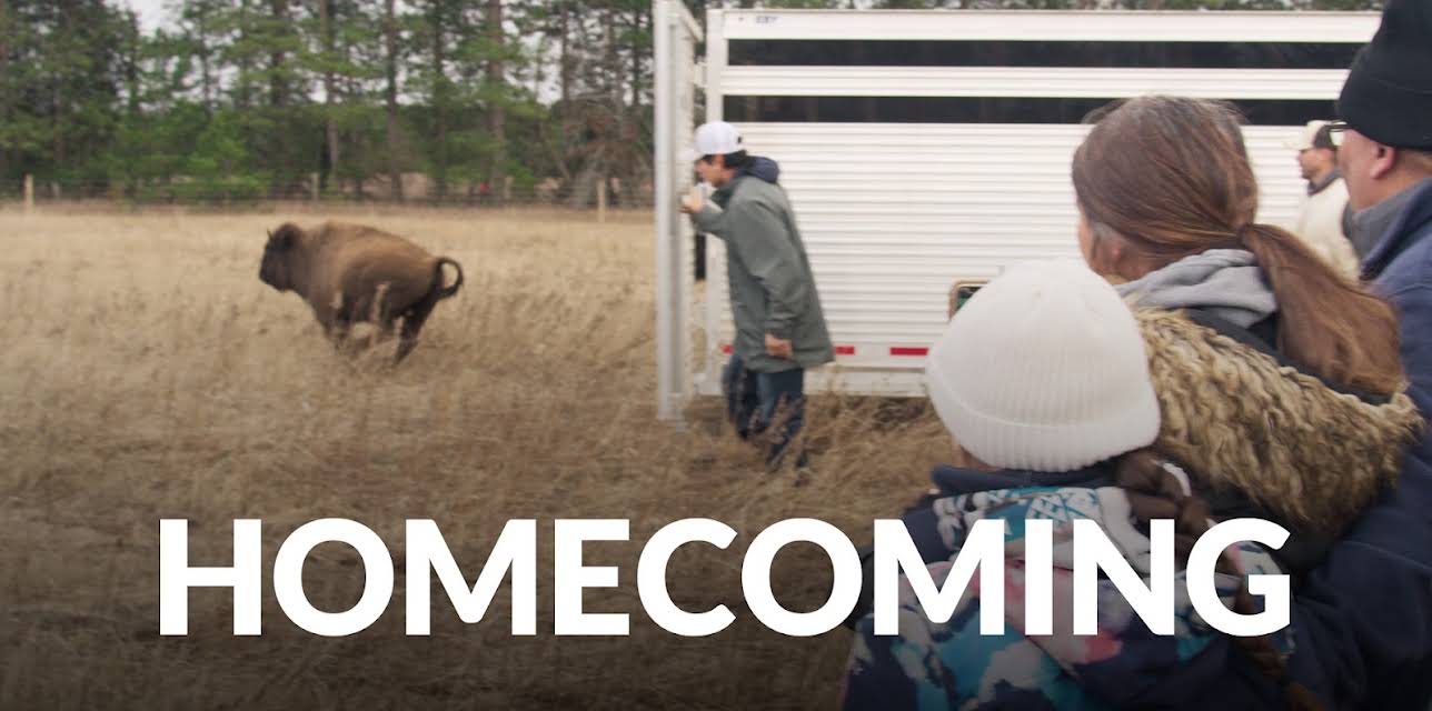 Homecoming (The American Buffalo) (2023)