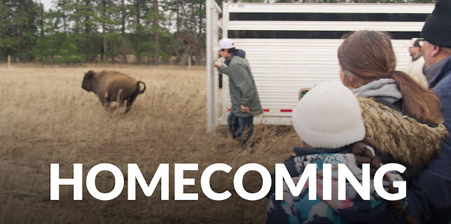 Homecoming (The American Buffalo) (2023)