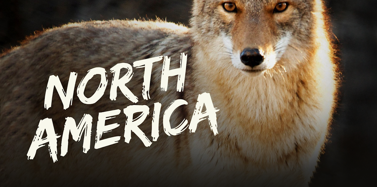 North America Season 1