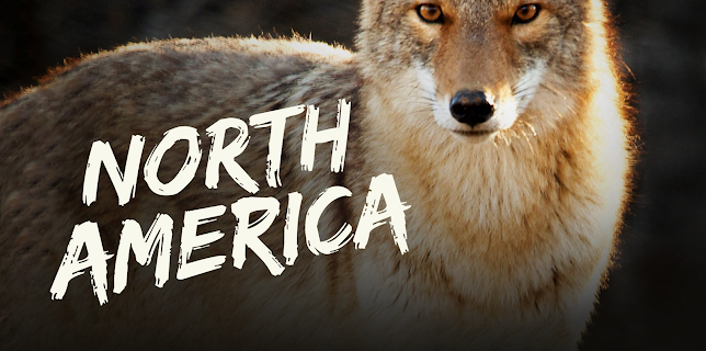 North America Season 1