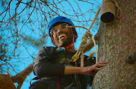 Campamento Copo de Nieve: Si ves a una pareja en un jacuzzi, es mejor no molestar