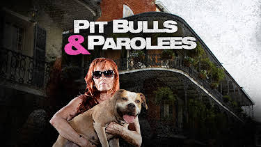 16:00: Pit Bulls & Parolees (S8 E12) (S8) | Animal Planet | 1/7 2026