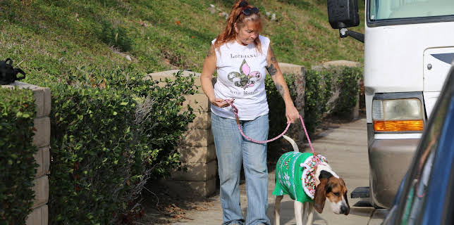 15:00: Pit Bulls & Parolees (S8 E4) (S8) | Animal Planet | 3/3 2026