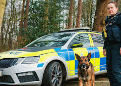 Police Interceptors