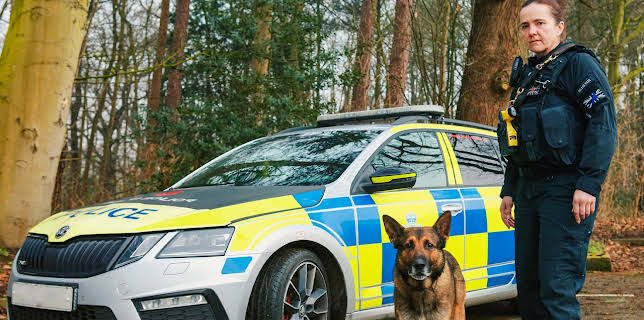 8:00 PM: Police Interceptors (S22 E8) (S22) | Paramount | 11/19 2025