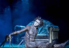 Edward Scissorhands: Matthew...
