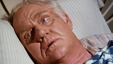 14:30: Unsere kleine Farm | Sat1 Gold | 3/31 2026