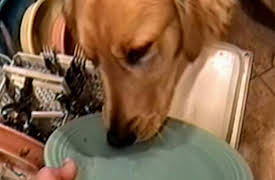 Life's Funniest Moments: Season 1: Episode 224