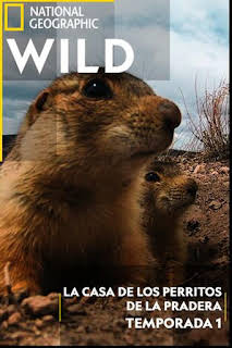 07:00: Instintos letales: Asesinos natos | Nat Geo Wild | 1/22 2026
