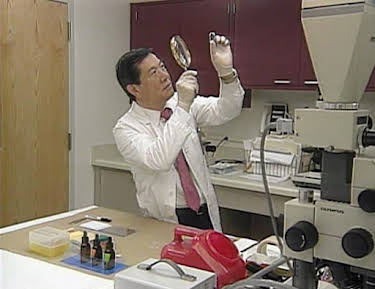 02:05: Medical Detectives - Geheimnisse der Gerichtsmedizin | VOX | 3/31 2026