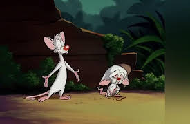 Steven Spielberg Presents Pinky and the Brain: The Complete First Volume: Welcome to the Jungle