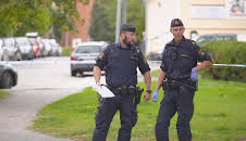 Södertäljepolisen (S2 E5)