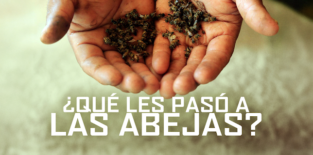 ¿Qué les pasó a las abejas? (2019)