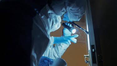 9:00 PM: Forensics: The Real CSI (S6) | BBC Two | 3/29 2026