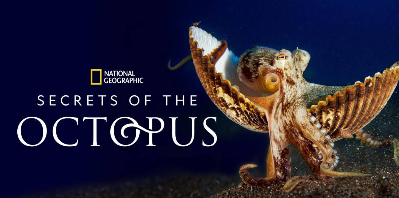Secrets of the Octopus