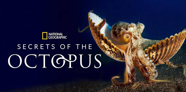 Secrets of the Octopus