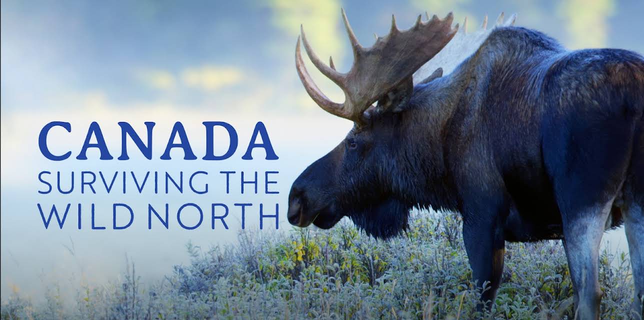 Canada: Surviving the Wild North (2022)