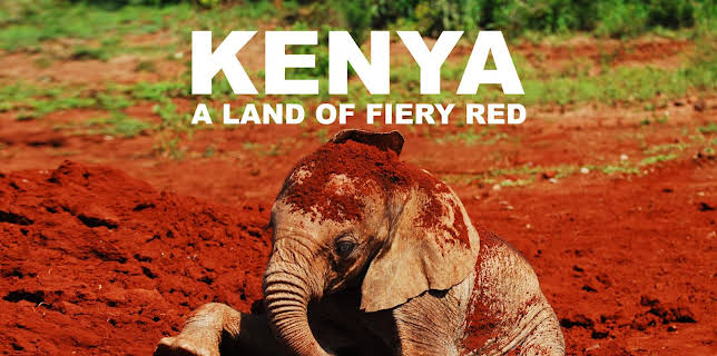 Kenya: A Land of Fiery Red (2024)