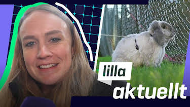 20:15: Lilla Aktuellt | Barnkanalen | 10/26 2026