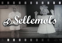 Sellemols