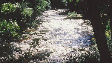 09:20: Die schwarze Perle des bayerischen Waldes | MDR Fernsehen | 4/26 2026