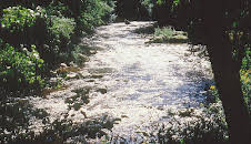 Die schwarze Perle des bayerischen Waldes