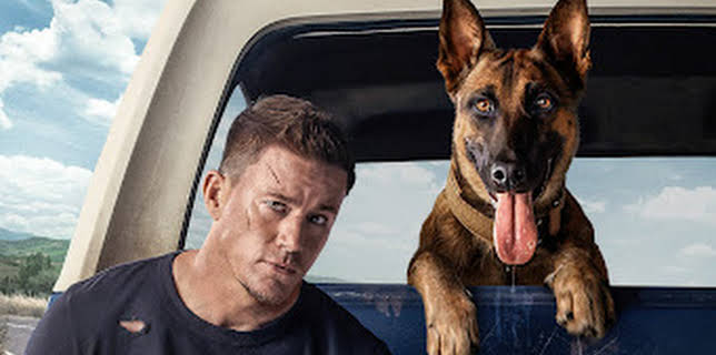 11:00 PM: Dog (IMDb 6.5) | Channel 4 | 2/22 2026